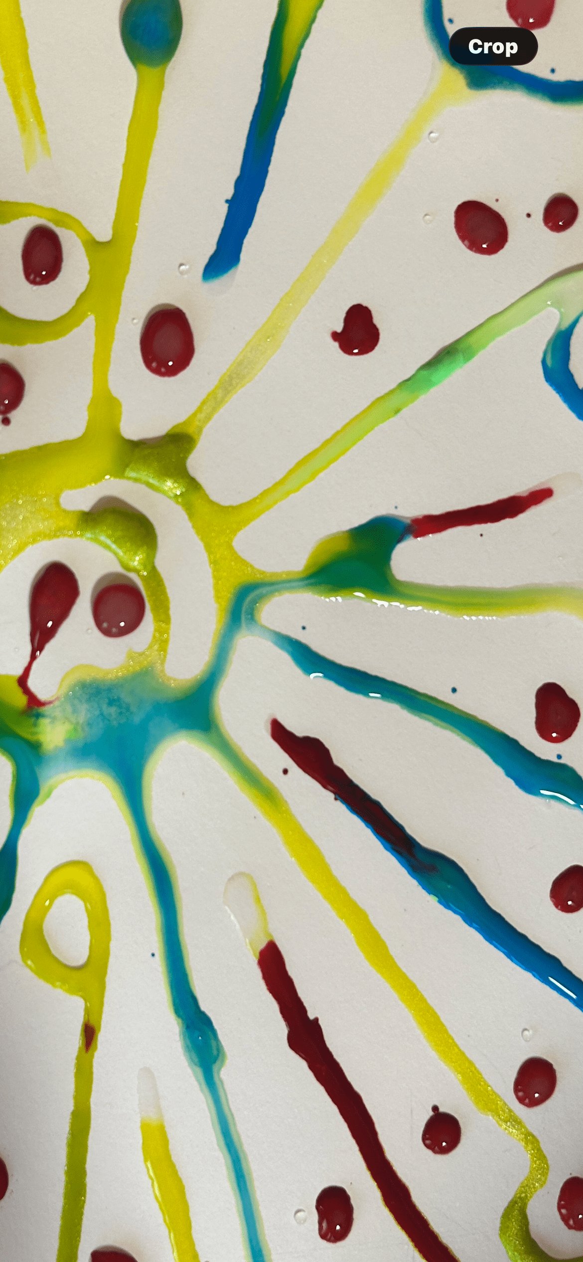 Switched On: Why Connection Shapes the&nbsp;Brain
